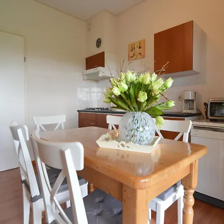 Holiday home In With Roof Terrace Garden Furniture Geesteren (Overijssel)