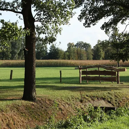 In With Roof Terrace,garden Furniture Holiday home