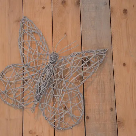 In With Roof Terrace,garden Furniture 別荘 Geesteren