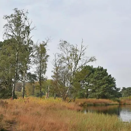 In With Roof Terrace,garden Furniture Geesteren (Overijssel)