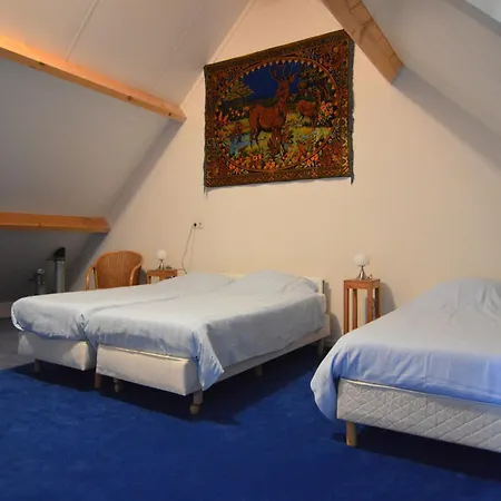 In With Roof Terrace,garden Furniture 別荘