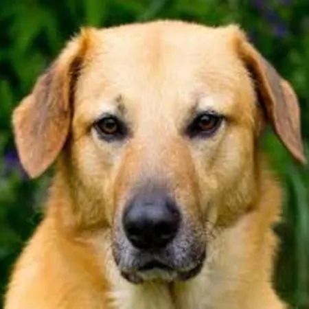 Holiday home In With Roof Terrace,garden Furniture