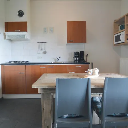 In With Roof Terrace,garden Furniture Holiday home Geesteren (Overijssel)