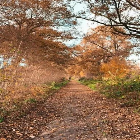 別荘 In With Roof Terrace,garden Furniture