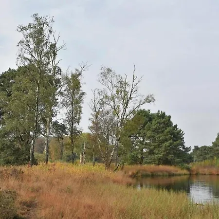 In With Roof Terrace,garden Furniture Holiday home *
