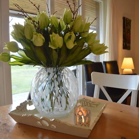 In With Roof Terrace,garden Furniture Geesteren