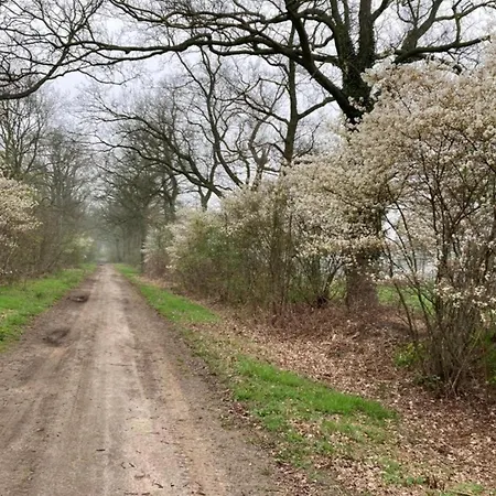 In With Roof Terrace,garden Furniture Holiday home *