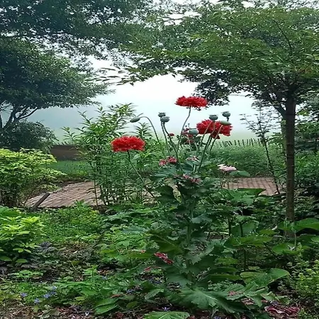 In With Roof Terrace,garden Furniture Holiday home Geesteren (Overijssel)