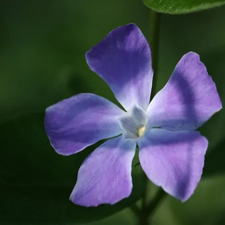 In With Roof Terrace,garden Furniture Geesteren