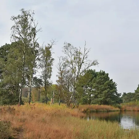In With Roof Terrace,garden Furniture
