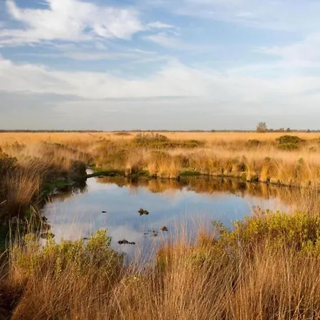 Holiday home In With Roof Terrace,garden Furniture