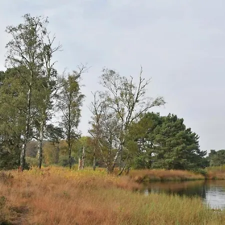 In With Roof Terrace,garden Furniture *