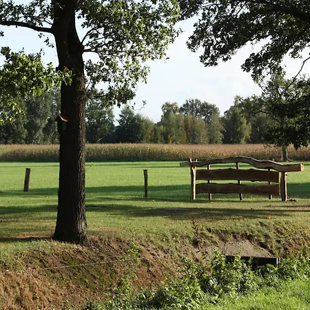 Holiday home In With Roof Terrace,garden Furniture Geesteren (Overijssel)