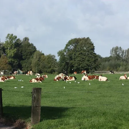 In With Roof Terrace,garden Furniture