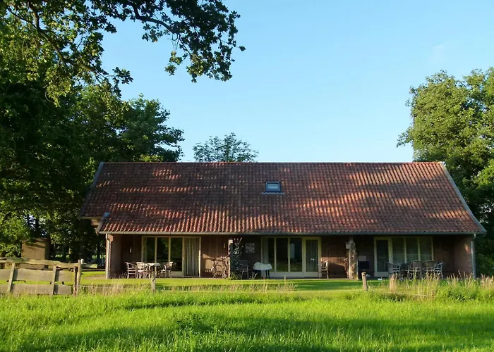In With Roof Terrace,garden Furniture *