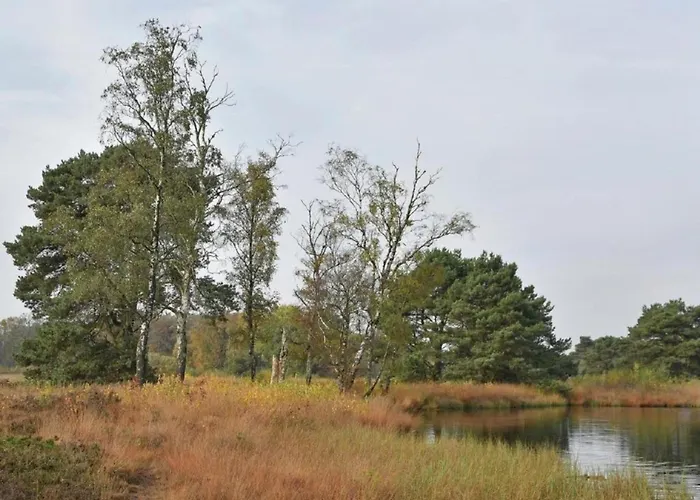 In With Roof Terrace,garden Furniture Geesteren (Overijssel)