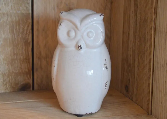 In With Roof Terrace,garden Furniture