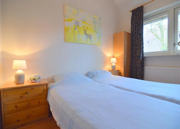 Ferienhaus In With Roof Terrace,garden Furniture Geesteren (Overijssel)