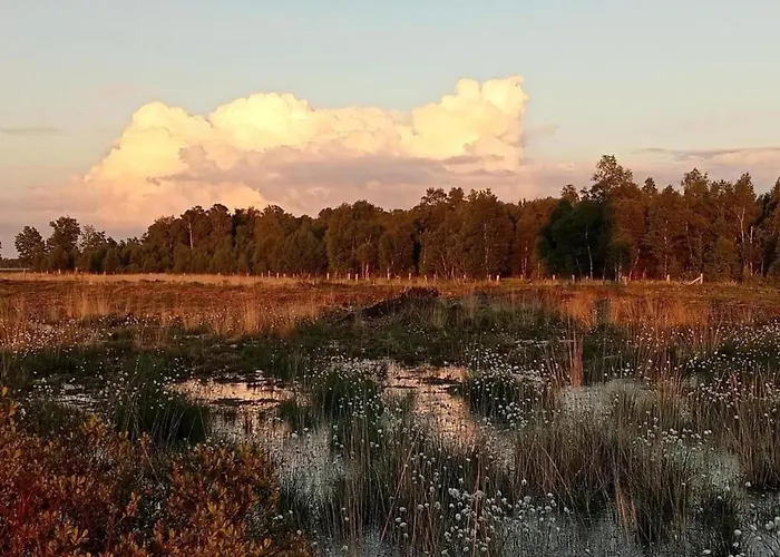 Semesterbostad In With Roof Terrace,garden Furniture Geesteren (Overijssel)