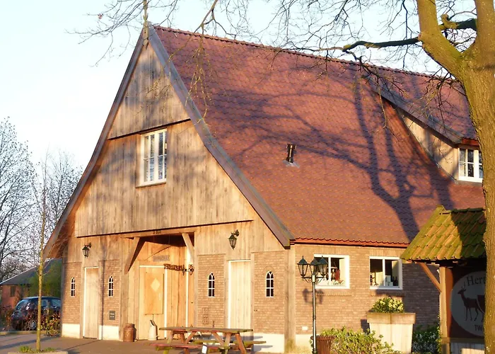 Ferienhaus In With Roof Terrace,garden Furniture Geesteren (Overijssel)