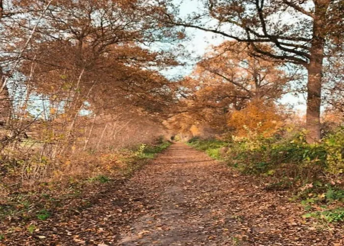 Ferienhaus In With Roof Terrace,garden Furniture