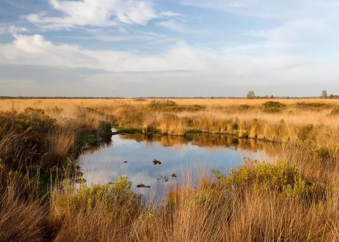 In With Roof Terrace,garden Furniture Semesterbostad Geesteren (Overijssel)