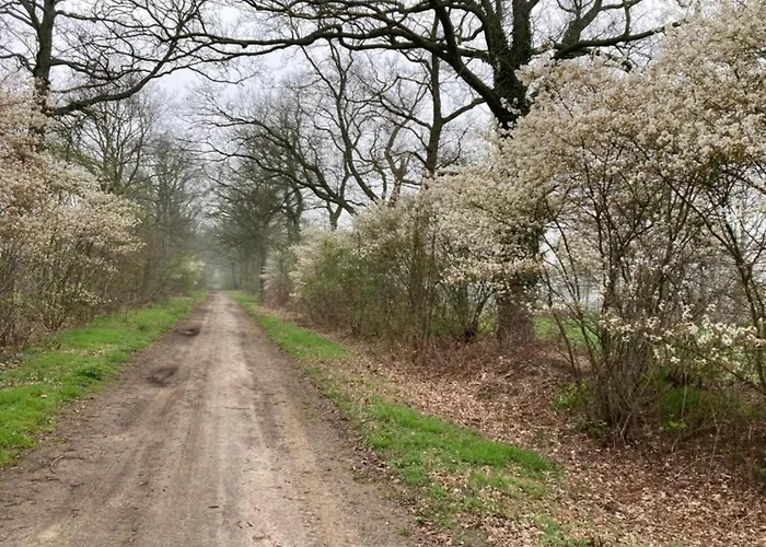 In With Roof Terrace,garden Furniture Semesterbostad *