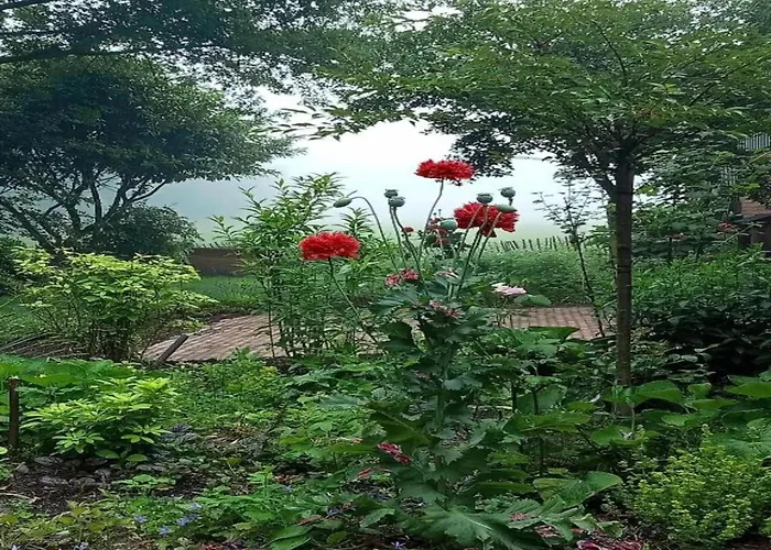 In With Roof Terrace,garden Furniture Ferienhaus Geesteren (Overijssel)