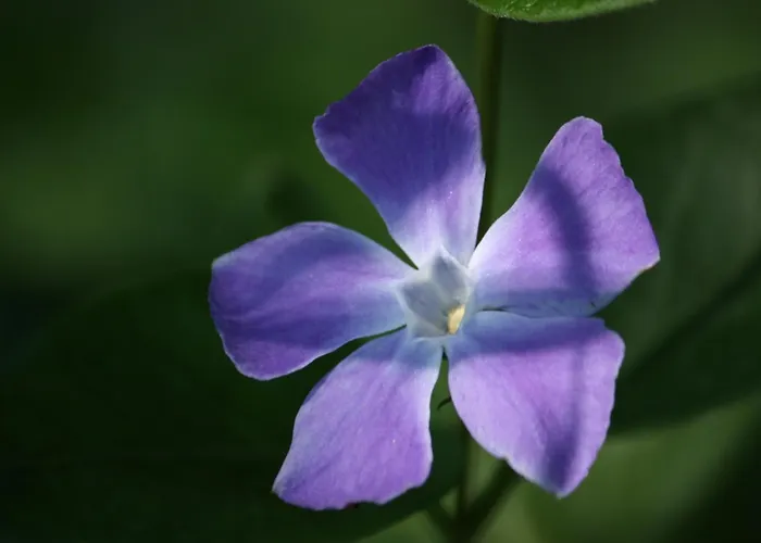 In With Roof Terrace,garden Furniture Geesteren (Overijssel)