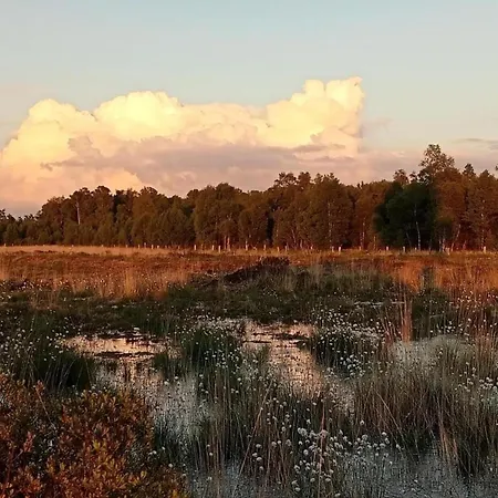 בית נופש In With Roof Terrace,garden Furniture Geesteren (Overijssel)