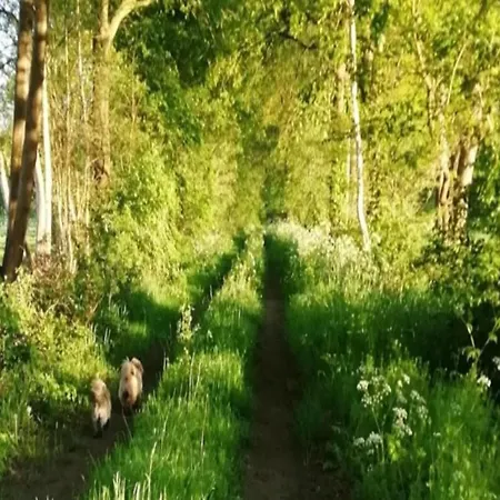 בית נופש In With Roof Terrace,garden Furniture *