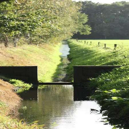בית נופש In With Roof Terrace,garden Furniture Geesteren (Overijssel)