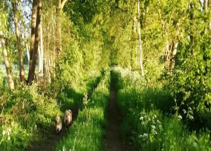 Сasa de vacaciones In With Roof Terrace,garden Furniture *