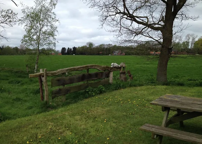 In With Roof Terrace,garden Furniture *