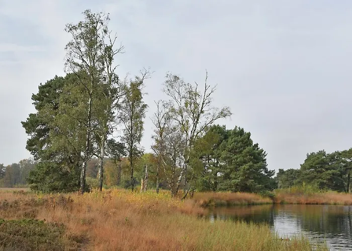 In With Roof Terrace,garden Furniture
